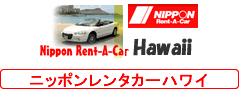 �j�b�|�������^�J�[�n���C