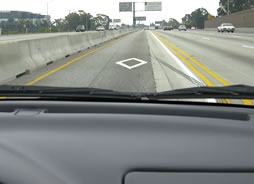 迫り来るヒシガタ。